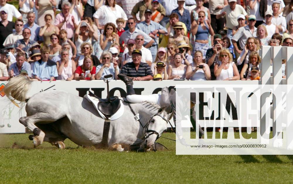 Janne Friederike Meyer Deutschland stürzt mit Callistro Pferdesport