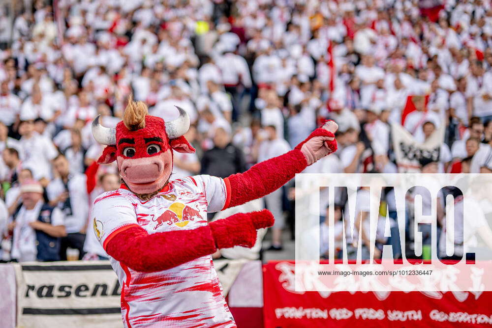 Leipzigs Mascot Bulli Cheers On The Fans Dfb Pokalfinale Sc