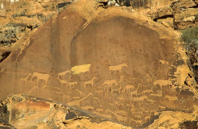 Felsgravuren Von Twyfelfontein Felsplatte Mit Zahlreichen Tiermotiven