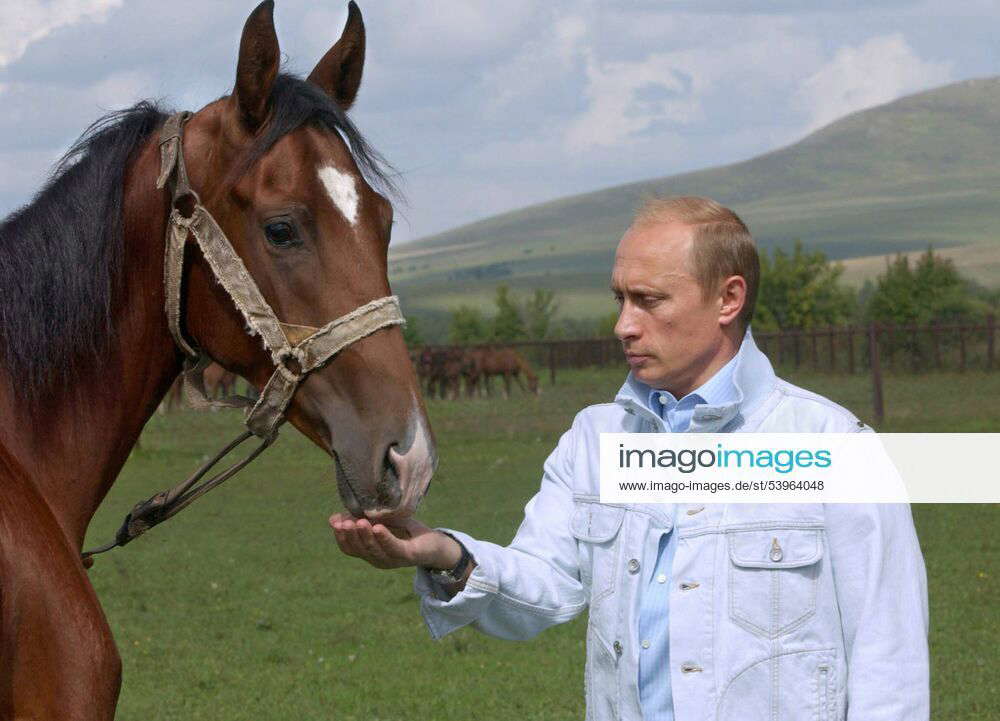 Tas Altai Territory Russia September President Vladimir Putin On