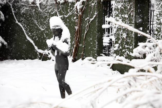 Verschneite Skulptur Im Winterlichen Gruga Park In Essen Kunstwerk Uwa