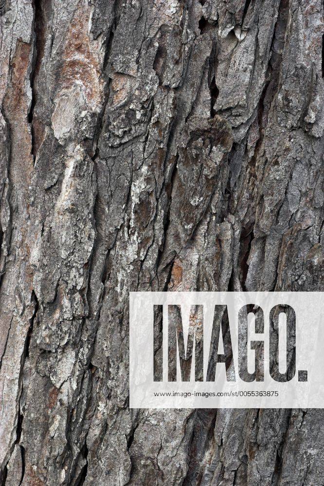 Imago Images Videos For Media Sports Brand