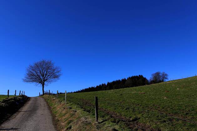 Landschaft Mit Feldern Und Wiesen Entlang Eines Wanderweges In Der N He