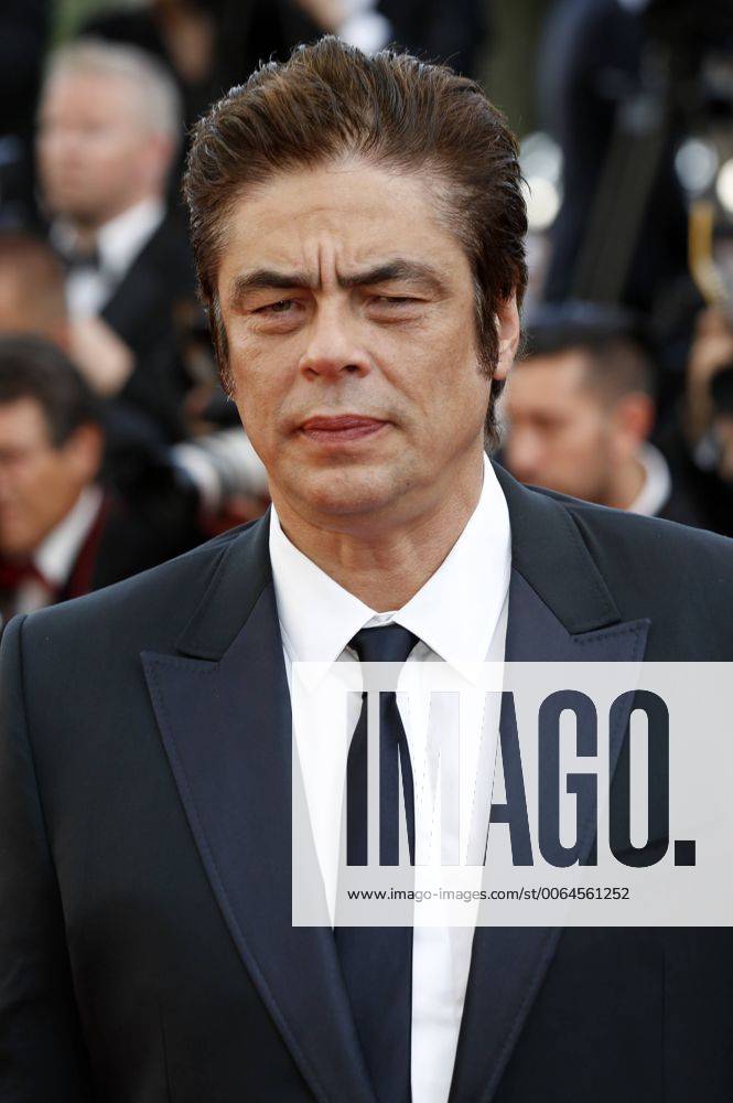 Benicio Del Toro Attending The Carol Premiere At The Th Cannes Film