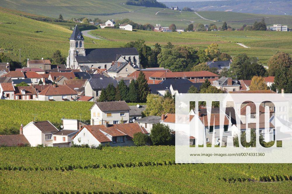 France Marne Champagne Region Oger Town And Vineyards Autumn