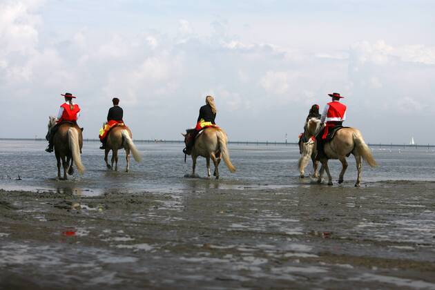 19 07 2009 Cuxhaven Niedersachsen DEU Duhner Wattrennen Reiter