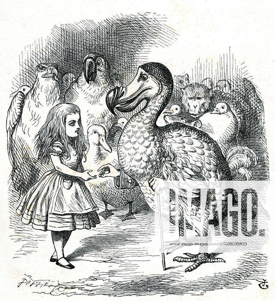 Lewis Carroll Work Alice And The Dodo Illustration By John Tenniel