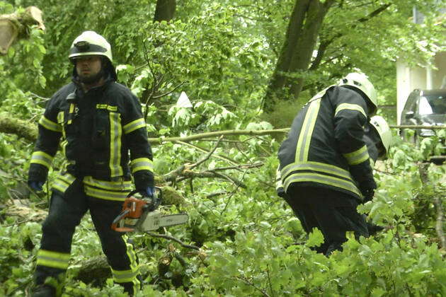 A Storm In The Taunus Region Causes Many Fallen Trees Firemen Free A