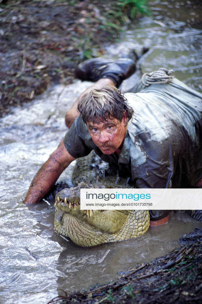 THE CROCODILE HUNTER COLLISION COURSE STEVE IRWIN Tackles A Strictly