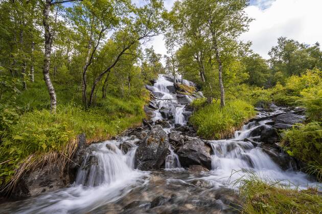 Waterfall In The Forest Innerdalen High Valley Sunndal M Re Og