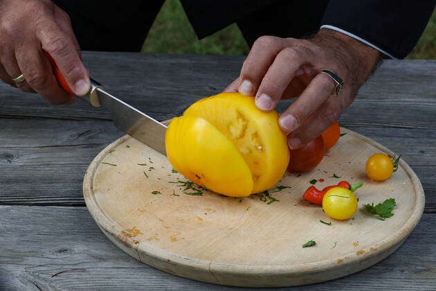 Hanover Food Series Old Vegetables In The Garden Symbol Photo