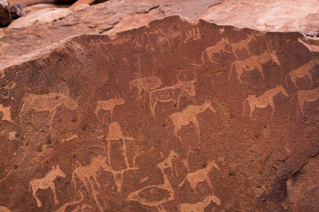 Felsgravuren Von Twyfelfontein Felsplatte Mit Zahlreichen Tiermotiven