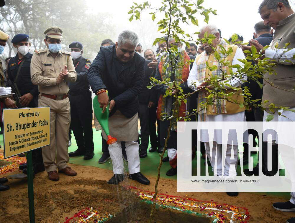 Gurugram India February Union Minister Of Environment Forest And