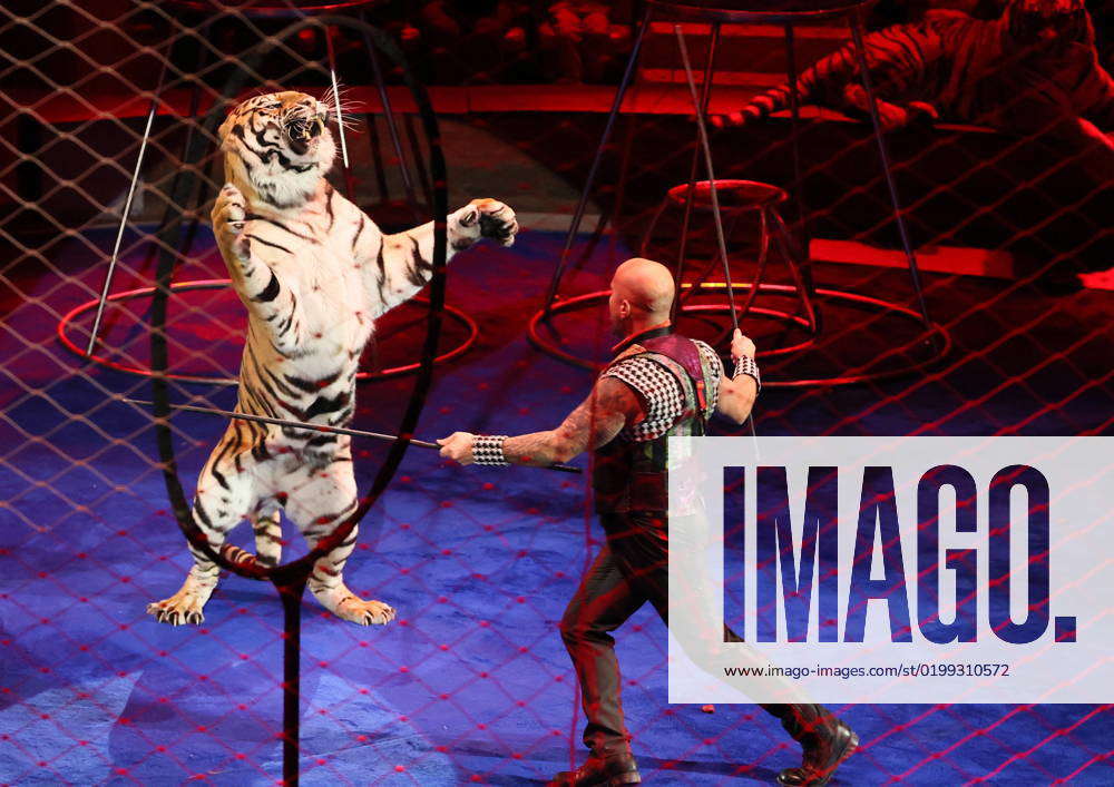 Russia Yekaterinburg January Tiger Tamer Artur Bagdasarov