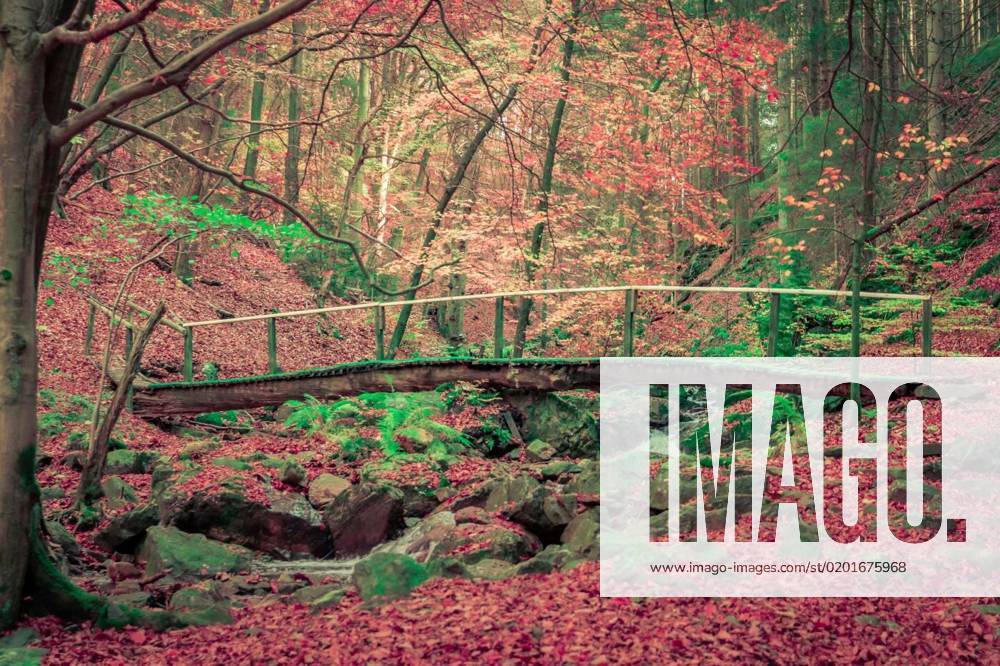 Foot Bridge Over A Creek In The Forest During A Hike In Autumn Foot