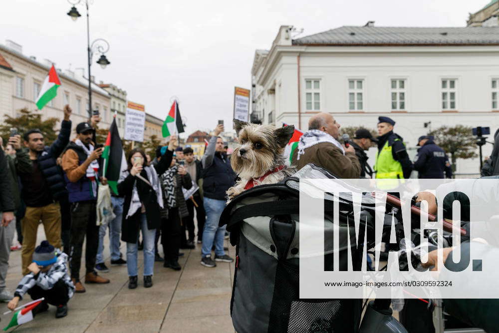 March Of Solidarity With Palestine In Warsaw Poland Oct A