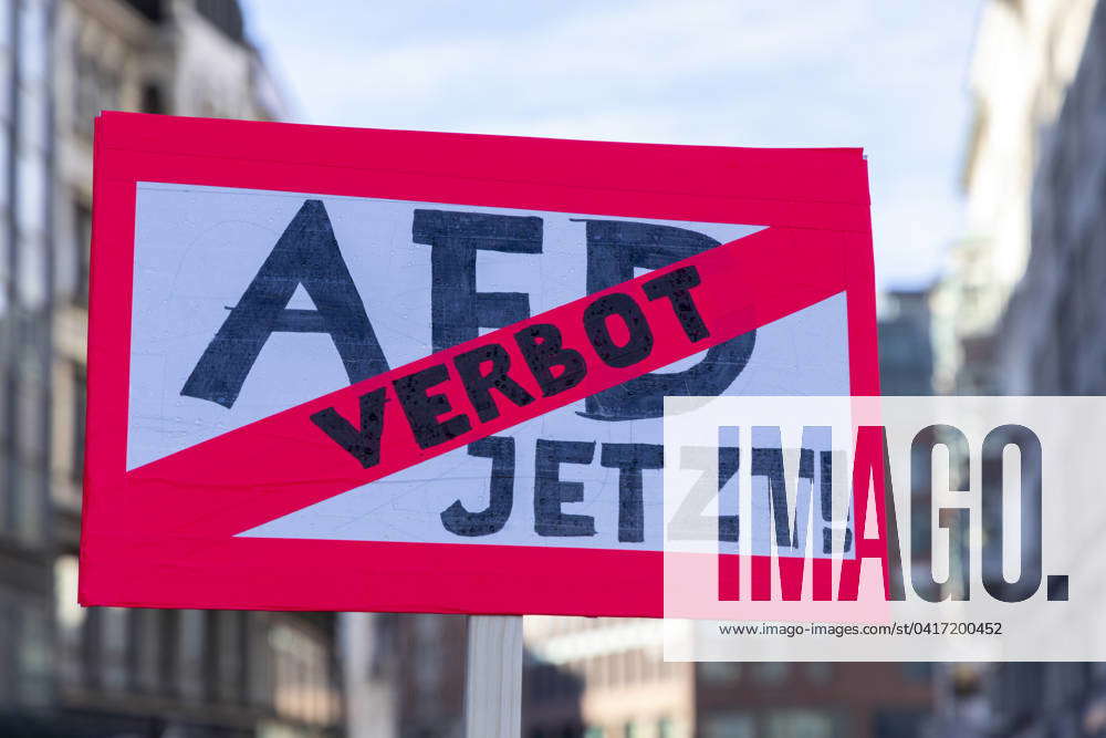 3 Großdemonstration gegen AFD und Rechtsextremismus in Hamburg 25