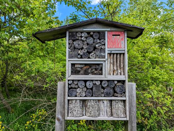 Wilnsdorf An Insect Hotel Is An Artificially Created Living