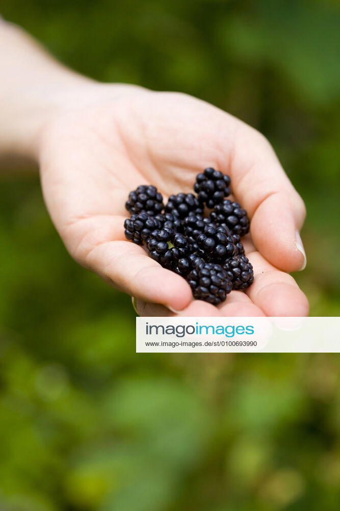 Blackberry ga0-vs,model released, Symbolfoto