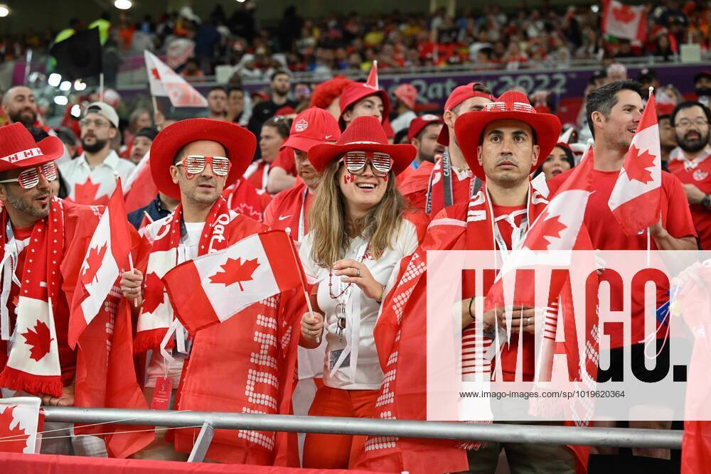DOHA, QATAR - NOVEMBER 23 : Some Canadian supporters - fans pictured during the FIFA World Cup, WM, Weltmeisterschaft, Fussball Qatar 2022 Groupe F match between Belgium and Canada at the Ahmad Bin Ali Stadium on November 23, 2022 in Doha, Qatar, 23 11 2022 ( Belgium v Canada - FIFA World Cup Qatar 2022 PhotoNews Panoramic