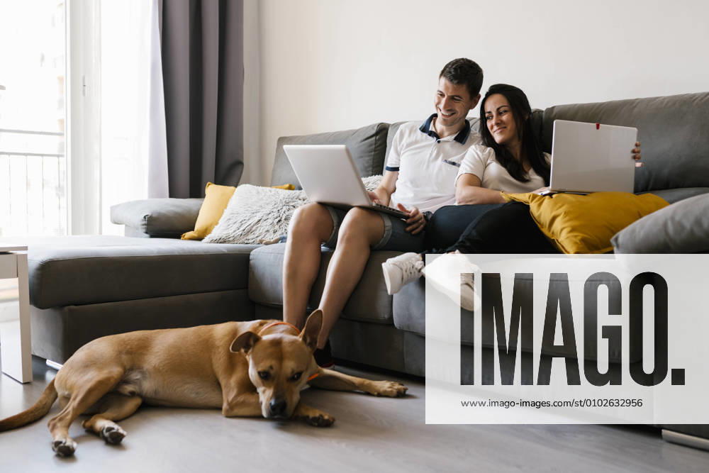 Couple using laptops on sofa near dog at home model released Symbolfoto property released EGAF00439