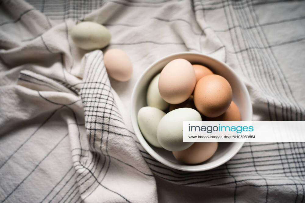 Eggs Nestled in White Bowl on Table at Home Seattle, WA, United States CR_ERWA200901A-479100-01