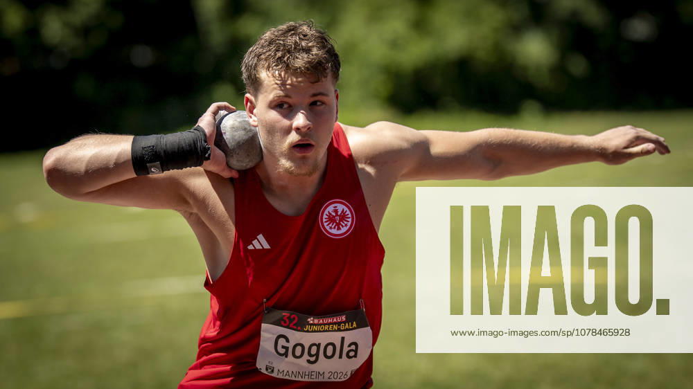 MANNHEIM, GERMANY - JUNE 13, 2026 : Nicolas Gogola (GER Eintracht Frankfurt e.V.) competing in the men’s U20 shot put during the Juniorengala 2026 at Michael-Hoffmann-Stadion on June 13, 2026 in Mannheim, Germany. Baden-Wuerttemberg Germany