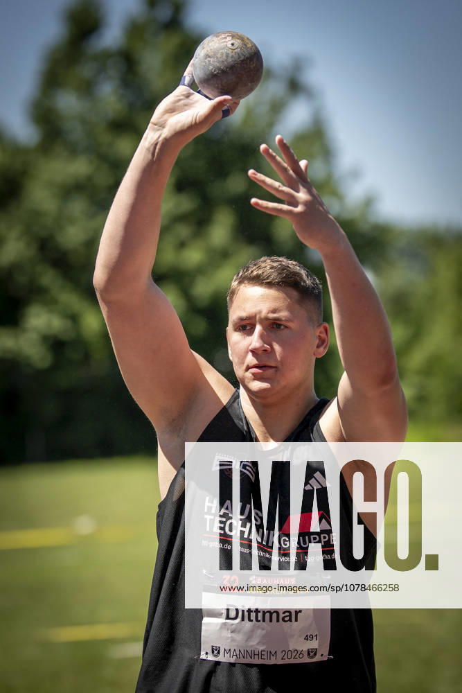 MANNHEIM, GERMANY - JUNE 13, 2026 : Lenny Dittmar (GER BIG Basketball in Gotha) competing in the men’s U20 shot put during the Juniorengala 2026 at Michael-Hoffmann-Stadion on June 13, 2026 in Mannheim, Germany. Baden-Wuerttemberg Germany