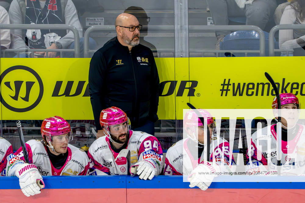 Ice Hockey, DEL, Krefeld Pinguine vs. Eisbären Berlin, 2026–27 Season, YAYLA Arena Krefeld, Head Coach Eric Dubois, Eisbären Berlin HC, North Rhine-Westphalia, Germany