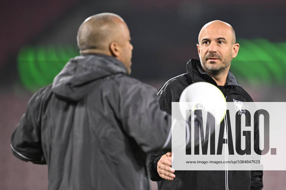 FC Midtjylland v Sint-Truidense VV - UEFA Conference League Media Activities 21 10 2026 HERNING, DENMARK - OCTOBER 21 : De Meyer Frederic head coach of Sint-Truidense VV pictured during a training session ahead of the UEFA Conference League 2026 27 League Phase matchday 2 match between FC Midtjylland and Sint-Truidense VV on October 21, 2026 in Herning, Denmark, 21 10 2026 Herning Denmark
