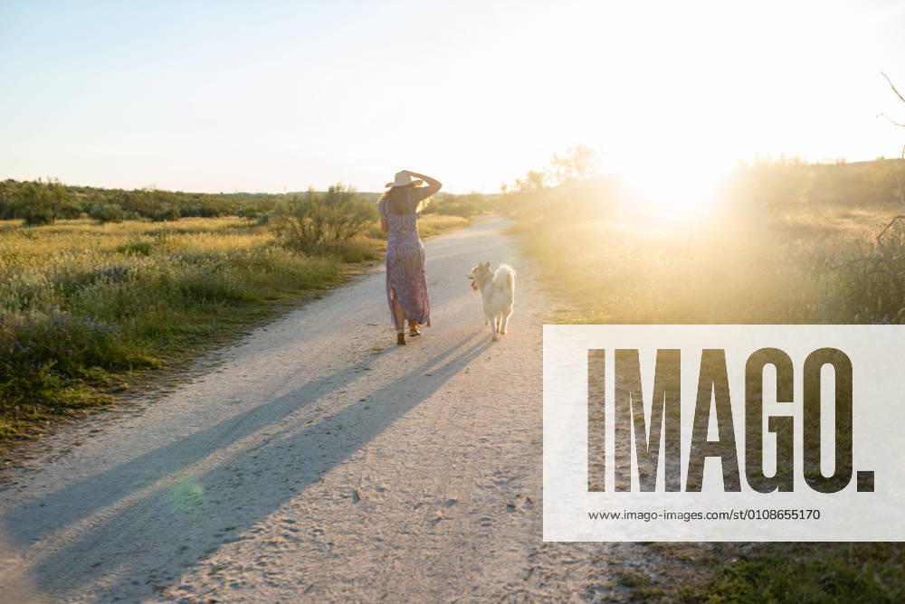 IMAGO Creative: Sommer, Abendspaziergang Back view of unrecognizable delighted female in dress walking along sandy road with Alaskan Malamute while enjoying weekend during sunset in countryside, Model released
