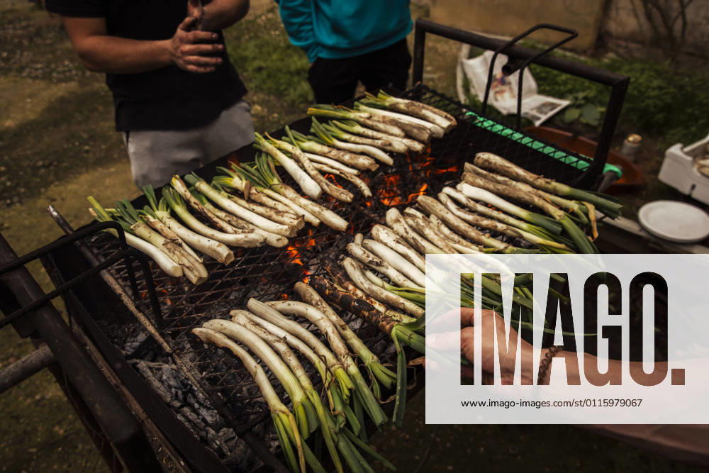 Friends preparing Calcots on barbecue while standing at backyard model released Symbolfoto ACPF01149