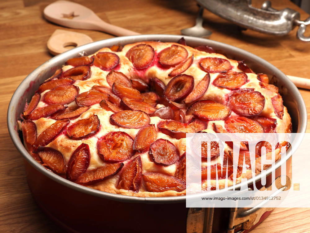 Plum cake,plum cakes ly0-lto