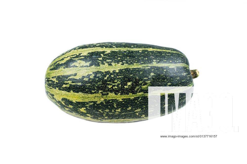 A single green striped spaghetti pumpkin isolated on white background, 13.10.2020,