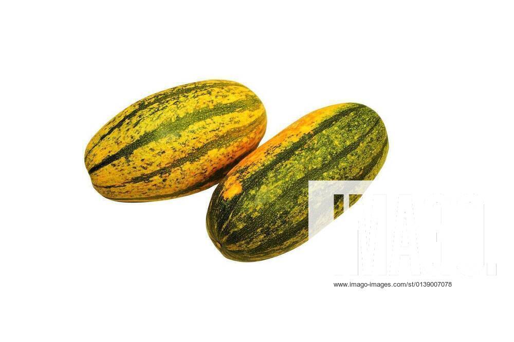 Two big spaghetti squash isolated on white background, 13.10.2020,