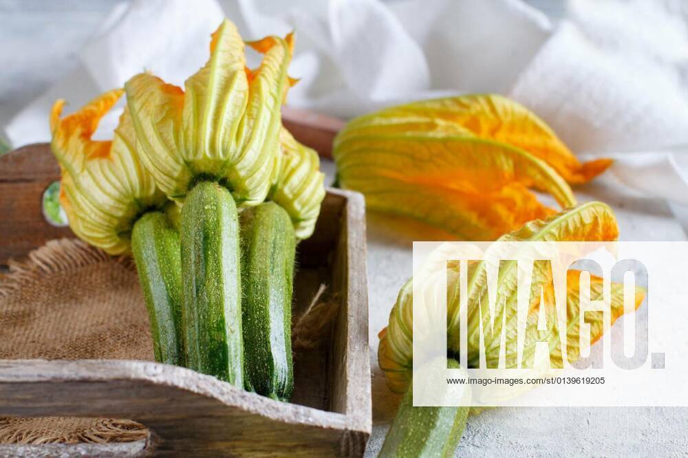 IMAGO Creative, Food, Zucchiniblüten Young Zucchini With Flowers, 14.10.2020,