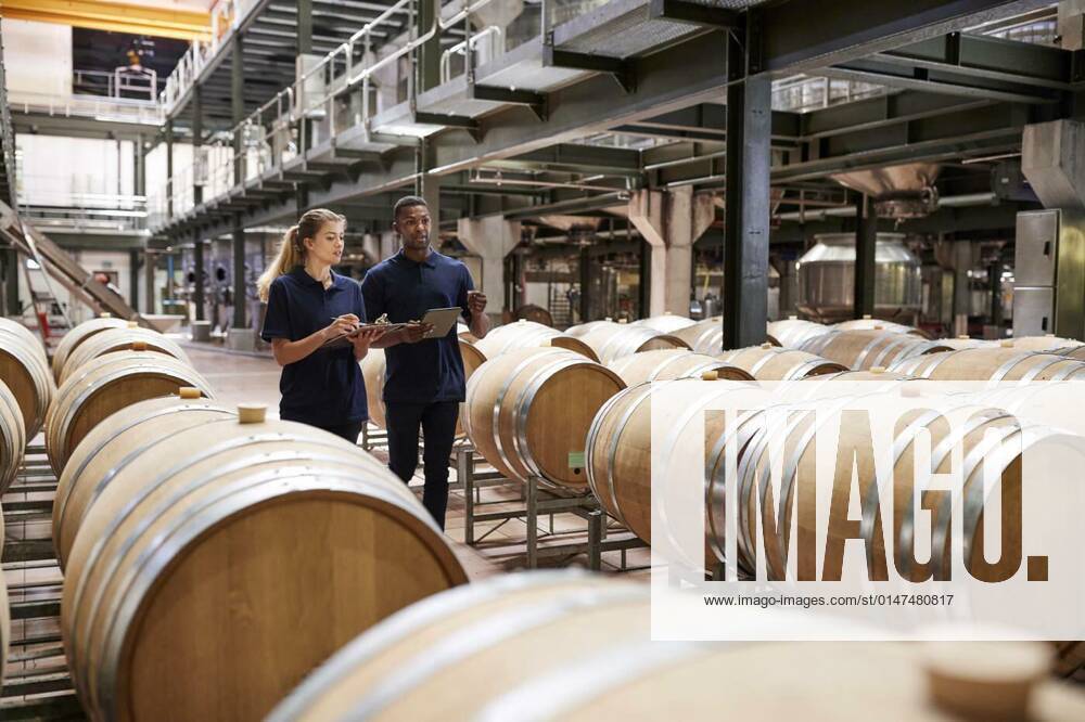 IMAGO Creative: Business, Inflation und Lieferketten Two staff inspecting barrels in a wine factory warehouse model released, Symbolfoto, 27.09.2021,