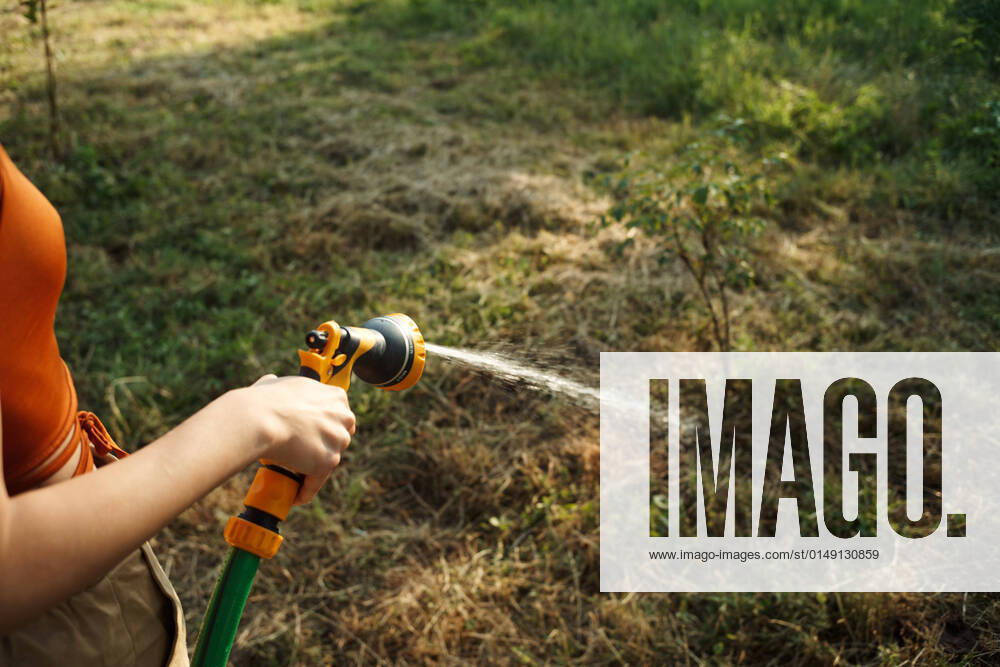 IMAGO Creative: Ende des Sommers woman watering plants in the garden nature growing woman watering plants in the garden nature growing. High quality photo