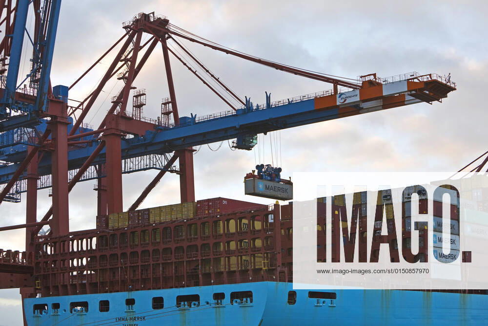 Container being loaded onto a container ship at the container bridge at the Eurogate container terminal , Germany, Hamburg BLWS662167