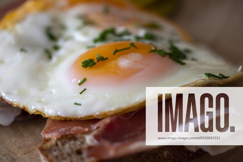 Eggs sunny side up on rye bread, model released, , property released, , 33863048.jpg, egg, wood, ham, pickle, cucumber, gherkin, sunny side up, healthy, meal, food, eating, bread, yellow, breakfast, morning, yolk, white, fried, cooked, table, pepper, fresh, coffee, green, cooking, plate, snack, background, traditional, nutrition, toast, sunny, protein, gourmet, rye, wooden, culinary, appetizer, vegetable, serving, cholesterol, lifestyle, vintage, eggs, seasoning, wholegrain, toasted, rustic, organic, sandwich,