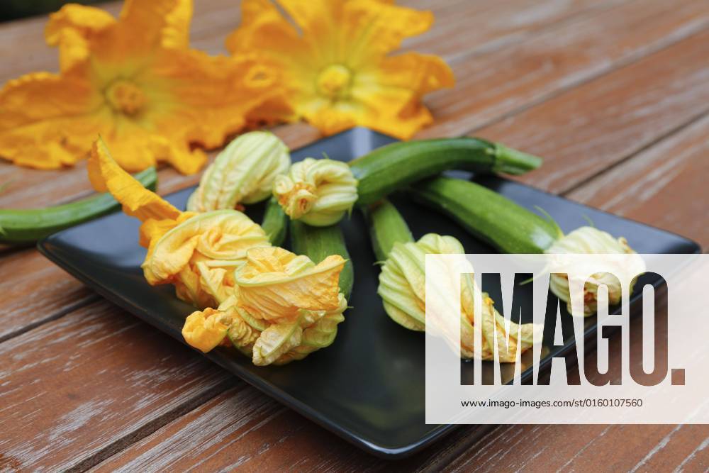 Süddeutsche Kitchen, Freshness Zucchini flowers with Zucchini Cucurbita Pepo Var giromontiina at Plate, vegetarian, Healthy Kitchen, Cook, Vegetables, Germany, Europe