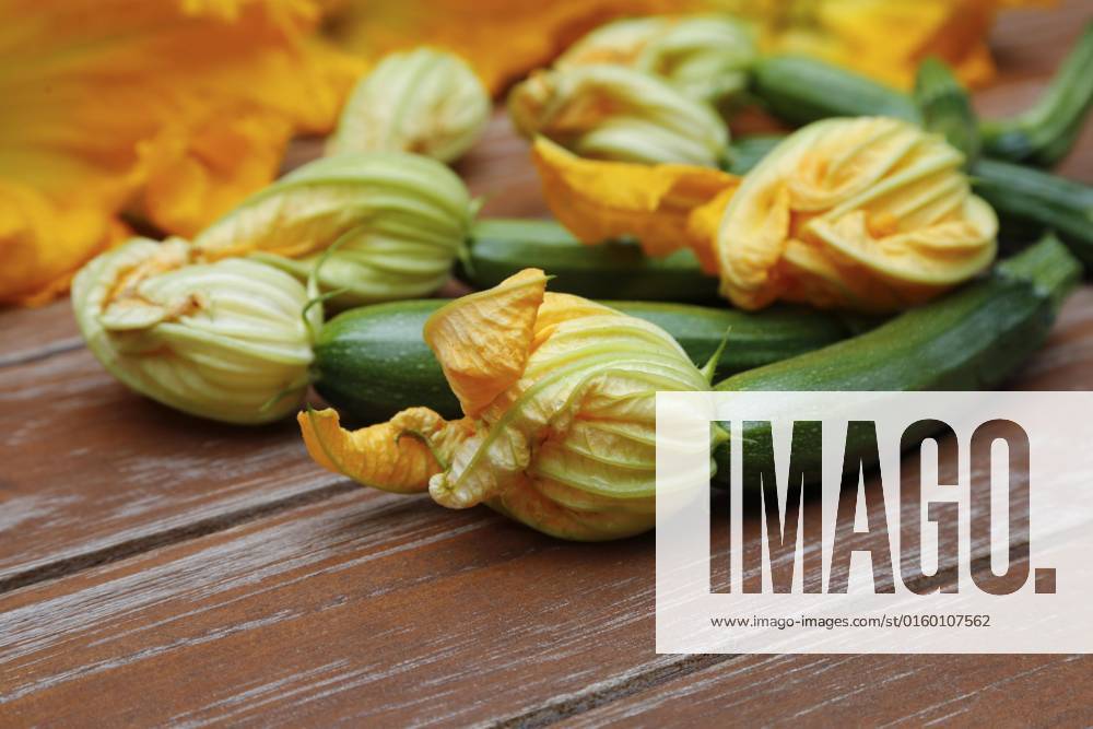 Süddeutsche Kitchen, Freshness Zucchini flowers with Zucchini Cucurbita Pepo Var giromontiina at wooden panel, vegetarian, Healthy Kitchen, Cook, Vegetables, Germany, Europe