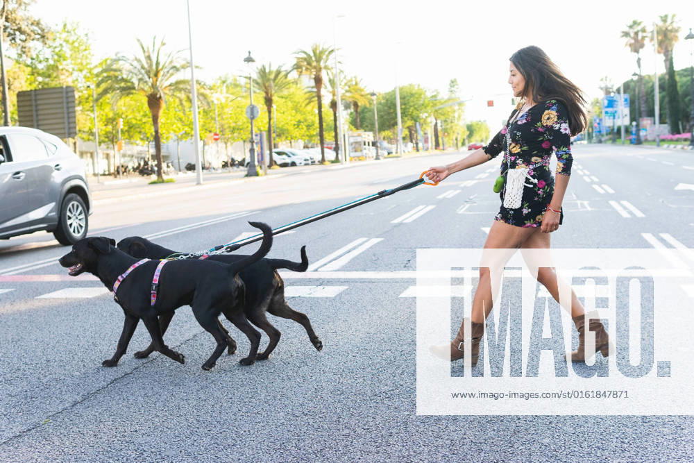 IMAGO Creative, Jahreszeit Sommer, Sommer in der Stadt Full length side view of female in floral dress and boots walking behind Labrador Retriever dogs on leashes while crossing road on sunny summer day in city DavidMunoz_KaryDogs_00033.jpg