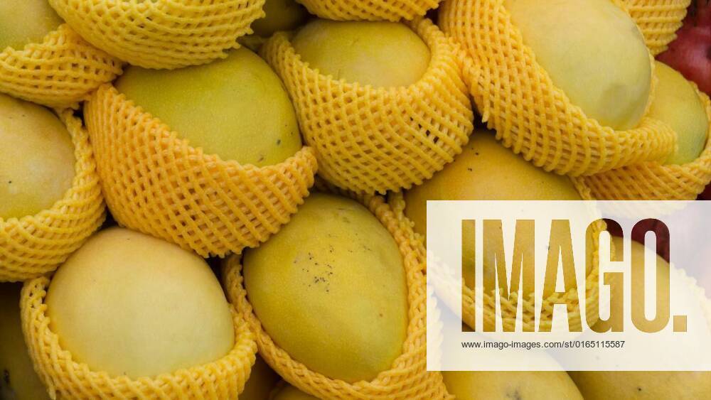 Delicious fresh ripe yellow mango individually wrapped, Delicious fresh ripe yellow mango individually wrapped on the market, 15.10.2020,