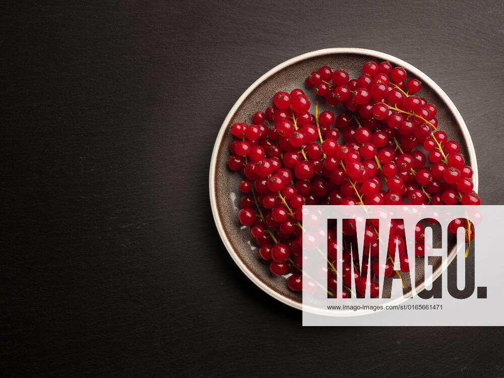 Organic red currant on a ceramic plate on a dark slate background, view from above, healthy food concept
