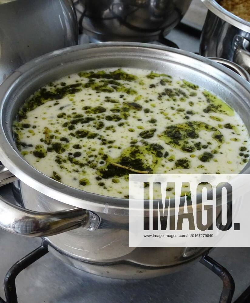 Turkish style plateau soup,soup made with strained yogurt, yogurt soup made with mint, Turkish style plateau soup,soup made with strained yogurt, yogurt soup made with mint, 23.08.2021,