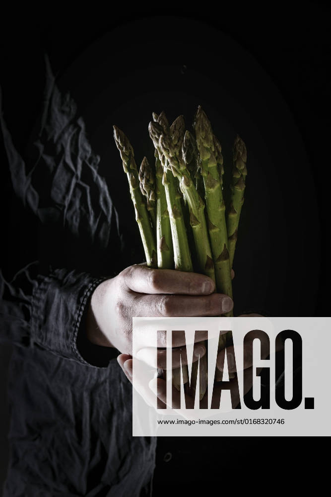 Bundle of green asparagus Bundle of raw organic green asparagus in dirty man s hand in black shirt.