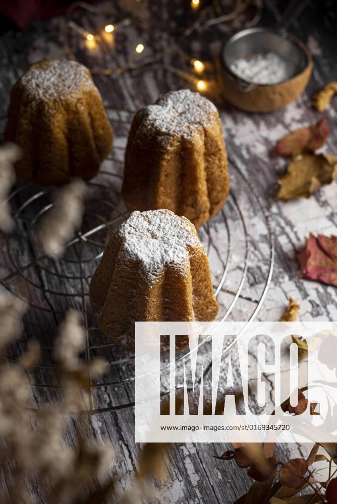 Three mini pandoro with powdered sugar Three mini pandoro with powdered sugar