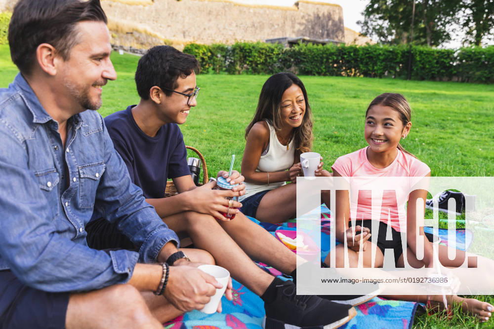 Multiracial family enjoying drinks in lawn on picnic model released, Symbolfoto, DMMF00165