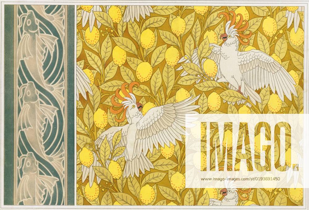 Design for Wallpaper Cockatoos with Lemons and Wallpaper Border with Flying Fish